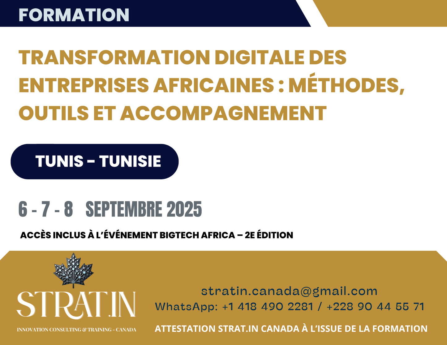 Transformation digitale des entreprises africaines : méthodes, outils et accompagnement